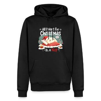 All I Want for Christmas Is A Nap - Men’s Premium Organic Hoodie - black - Front - Nico (187cm)