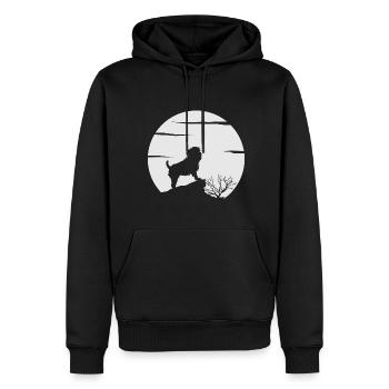 Affenpinscher Hundebesitzer Geschenk - Männer Premium Bio Hoodie - Schwarz - Vorne - Nico (187cm)
