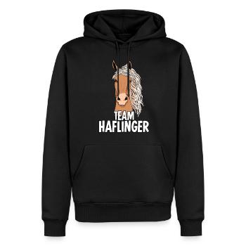 Équipe Haflinger Haflingers - Sweat à capuche Premium bio Homme - noir - Devant - Nico (187cm)