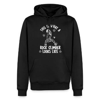 Climbing Mountaineering Climbers - Men’s Premium Organic Hoodie - black - Front - Nico (187cm)
