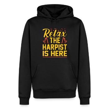 Harfe - Männer Premium Bio Hoodie - Schwarz - Vorne - Nico (187cm)