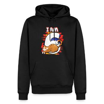 I am 6 cat - Men’s Premium Organic Hoodie - black - Front - Nico (187cm)
