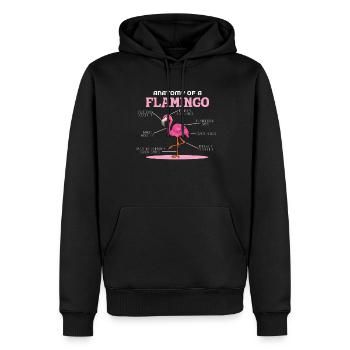 Anaotomy Of A Flamingo - Männer Premium Bio Hoodie - Schwarz - Vorne - Nico (187cm)