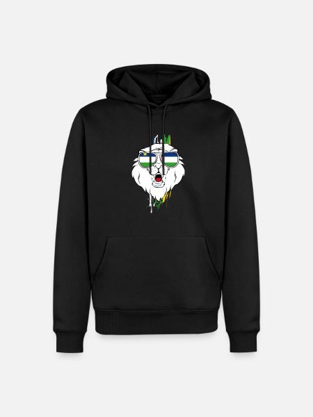 Central African Republic - Men’s Premium Organic Hoodie - black