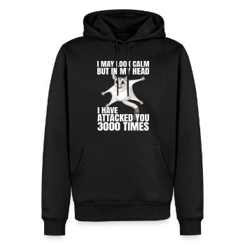 Sugar Glider Flying Squirrel - Men’s Premium Organic Hoodie - black - Front - Nico (187cm)