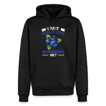 Blauberren Blauberre Geschenk - Männer Premium Bio Hoodie - Schwarz - Vorne - Nico (187cm)