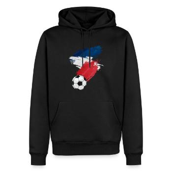 Frankreich Fußball Fußball Flagge - Männer Premium Bio Hoodie - Schwarz - Vorne - Nico (187cm)