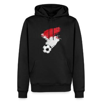 Monaco Soccer Drapeau de Football - Sweat à capuche Premium bio Homme - noir - Devant - Nico (187cm)