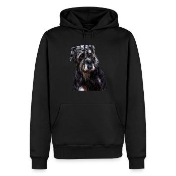 irischer Windhund irischer Wolfshund - Männer Premium Bio Hoodie - Schwarz - Vorne - Nico (187cm)