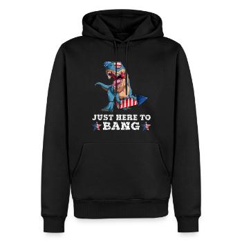 Trex 4 juillet Dinosaur Fireworks Drapeau américain - Sweat à capuche Premium bio Homme - noir - Devant - Nico (187cm)