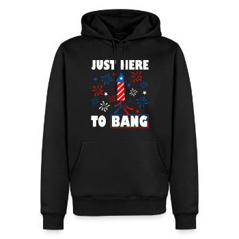 Patriotic Fireworks Director USA Celebration - Sweat à capuche Premium bio Homme - noir - Devant - Nico (187cm)