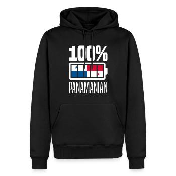 Lustiges Panama Panamaer Panamaerin Geschenk - Männer Premium Bio Hoodie - Schwarz - Vorne - Nico (187cm)