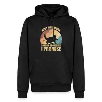 Just one more British Shorthair I Promise - Men’s Premium Organic Hoodie - black - Front - Nico (187cm)