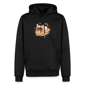 Katze im Karton Siamese Cat Haustier - Männer Premium Bio Hoodie - Schwarz - Vorne - Nico (187cm)