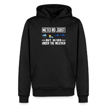 Meteorologe Meteorologie Sturmjäger Geschenk - Männer Premium Bio Hoodie - Schwarz - Vorne - Nico (187cm)