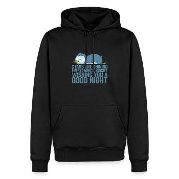 Stars are shining, everything's bright - Männer Premium Bio Hoodie - Schwarz - Vorne - Nico (187cm)