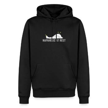 Napaholic at Rest Pajamas Pajamas - Men’s Premium Organic Hoodie - black - Front - Nico (187cm)
