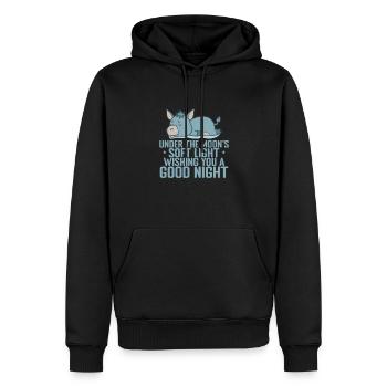 Moon's soft Light, wishing you a good Night - Männer Premium Bio Hoodie - Schwarz - Vorne - Nico (187cm)