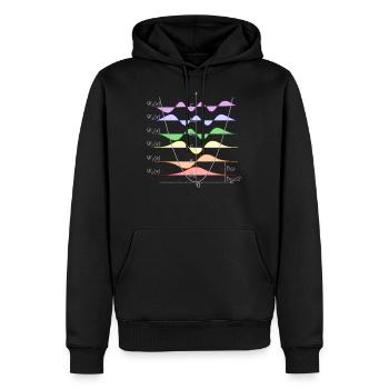 Harmonischer Oszillator Quantenmechanik Physik - Männer Premium Bio Hoodie - Schwarz - Vorne - Nico (187cm)