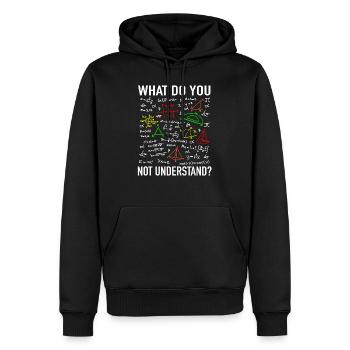 Enseignement des mathématiques professeur de mathématiques physicien étudiant professeur - Sweat à capuche Premium bio Homme - noir - Devant - Nico (187cm)
