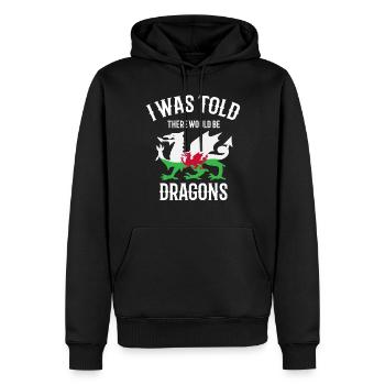 I was told that there would be dragons - Men’s Premium Organic Hoodie - black - Front - Nico (187cm)