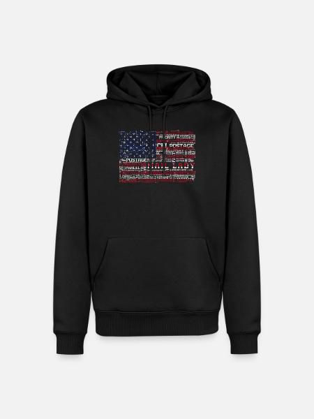 Post lady, postal delivery - Men’s Premium Organic Hoodie - black