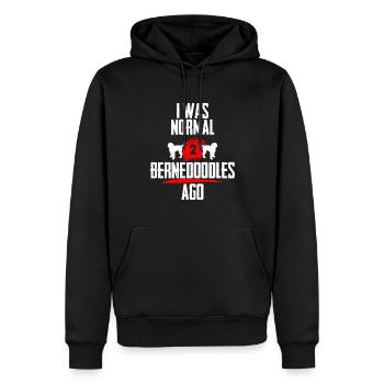 Ich war normal 2 Bernedoodles voher - Männer Premium Bio Hoodie - Schwarz - Vorne - Nico (187cm)