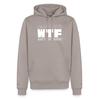 Was Ist Die Prognose, Meteorologe - Männer Premium Bio Hoodie - Taupe - Vorne - Nico (187cm)
