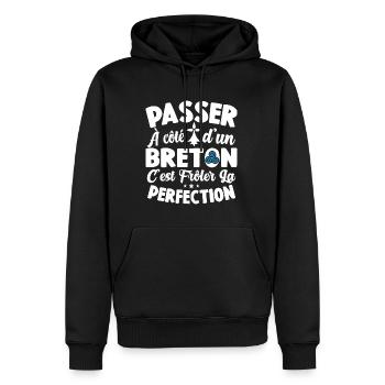 Bretagne Frôler La Perfection Cadeau Breton Breizh - Sweat à capuche Premium bio Homme - noir - Devant - Nico (187cm)