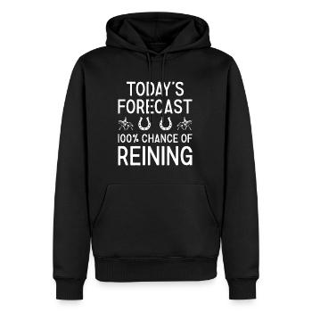Reiner Today's Forecast Reining - Männer Premium Bio Hoodie - Schwarz - Vorne - Nico (187cm)