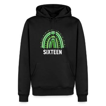 Grün Regenbogen Sechzehn Jahre 16. Geburtstag - Männer Premium Bio Hoodie - Schwarz - Vorne - Nico (187cm)