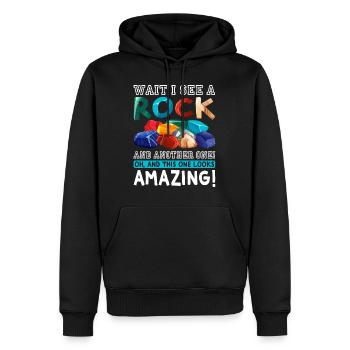 Wait I See A Rock Funny Geologist Rock Collector - Men’s Premium Organic Hoodie - black - Front - Nico (187cm)