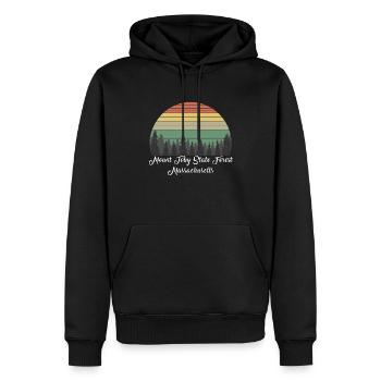 Mount Toby State Forest - Männer Premium Bio Hoodie - Schwarz - Vorne - Nico (187cm)