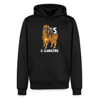 Kawaii Naissance Né 15 ans Alpaga Llama - Sweat à capuche Premium bio Homme - noir - Devant - Nico (187cm)
