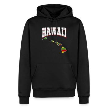 Us America State Flag Carte terrestre Hawaii - Sweat à capuche Premium bio Homme - noir - Devant - Nico (187cm)