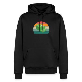 Zaster Moneten Billets Coin Monnaie Monnaie Virtuelle - Sweat à capuche Premium bio Homme - noir - Devant - Nico (187cm)