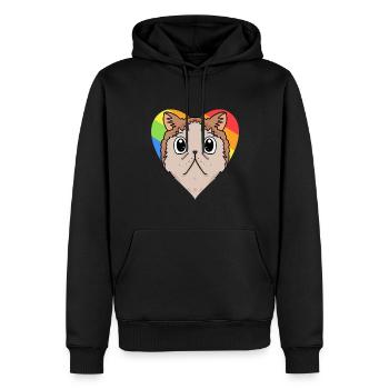 CHAT LGBT Exotique Shorthair Cat Rainbow - Sweat à capuche Premium bio Homme - noir - Devant - Nico (187cm)