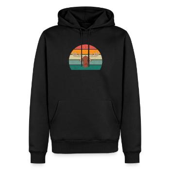 Sweden Blue Yellow Stockholm Sweden - Men’s Premium Organic Hoodie - black - Front - Nico (187cm)