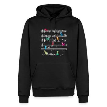 Bunte Katze, die auf Musiknoten spielt Musiker - Männer Premium Bio Hoodie - Schwarz - Vorne - Nico (187cm)