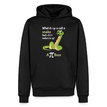 Comment appelle-t-on une balise Snake Pi - Sweat à capuche Premium bio Homme - noir - Devant - Nico (187cm)