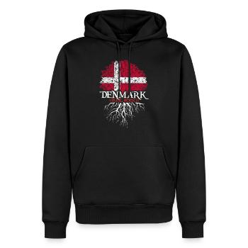 Danemark Vikings - Sweat à capuche Premium bio Homme - noir - Devant - Nico (187cm)