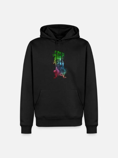 Farbenfroher Degu - Männer Premium Bio Hoodie - Schwarz