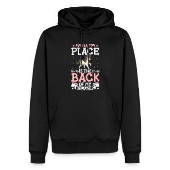 Mein Lieblingsplatz - Icelandic - Männer Premium Bio Hoodie - Schwarz - Vorne - Nico (187cm)