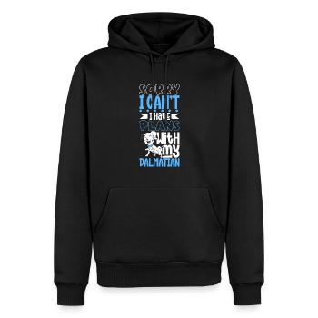 Plans avec mon dalmatien - Sweat à capuche Premium bio Homme - noir - Devant - Nico (187cm)