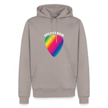 Splectrum - rainbow coloured plectrum, spectrum - Men’s Premium Organic Hoodie - taupe - Front - Nico (187cm)