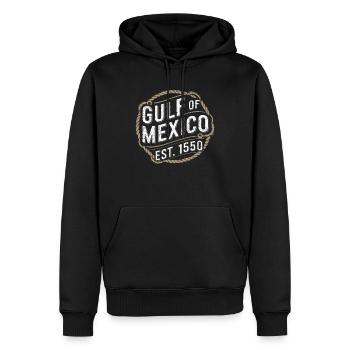 Gulf Of Mexico - Männer Premium Bio Hoodie - Schwarz - Vorne - Nico (187cm)