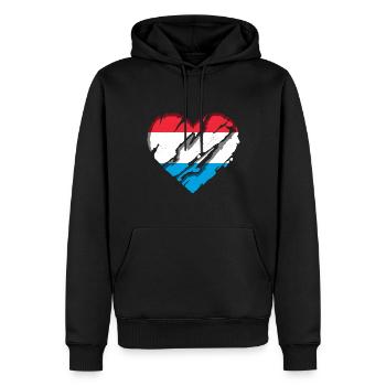 Drapeau luxembourgeois Drapeau luxembourgeois Accueil - Sweat à capuche Premium bio Homme - noir - Devant - Nico (187cm)