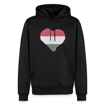 Ungarn Flagge Ungarische Fahne Balaton Hungary - Männer Premium Bio Hoodie - Schwarz - Vorne - Nico (187cm)