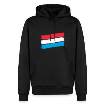 Drapeau luxembourgeois Drapeau luxembourgeois Accueil - Sweat à capuche Premium bio Homme - noir - Devant - Nico (187cm)