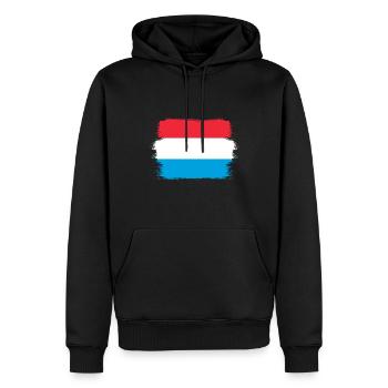 Drapeau luxembourgeois Drapeau luxembourgeois Accueil - Sweat à capuche Premium bio Homme - noir - Devant - Nico (187cm)